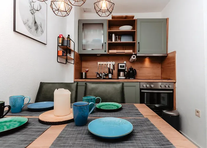 Cozystay - Gemuetliche Wohnung Im Oberharz