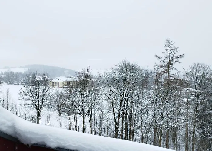 Cozystay - Gemuetliche Wohnung Im Oberharz
