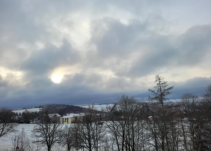Cozystay - Gemuetliche Wohnung Im Oberharz